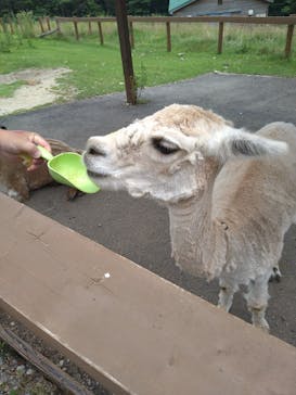 那須どうぶつ王国に投稿された画像（2025/7/28）