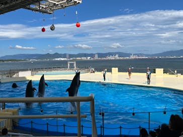 マリンワールド海の中道に投稿された画像（2025/7/28）