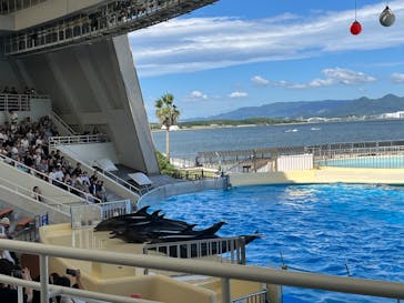 マリンワールド海の中道に投稿された画像（2025/7/28）