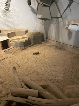 NIFREL（ニフレル）に投稿された画像（2025/7/28）