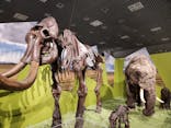 特別展「氷河期展 〜人類が見た4万年前の世界〜」（国立科学博物館）に投稿された画像（2025/7/28）