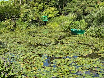 ガーデンミュージアム比叡に投稿された画像（2025/7/28）