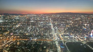 ハルカス300(展望台)に投稿された画像（2025/7/28）