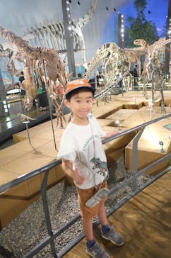 福井県立恐竜博物館に投稿された画像（2025/7/28）