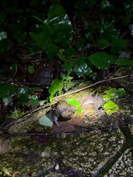 OKIDOKIマリンツアー宮古島に投稿された画像（2025/7/28）