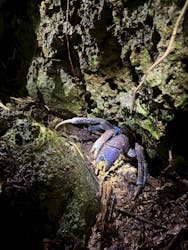 OKIDOKIマリンツアー宮古島に投稿された画像（2025/7/28）