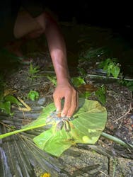 OKIDOKIマリンツアー宮古島に投稿された画像（2025/7/28）