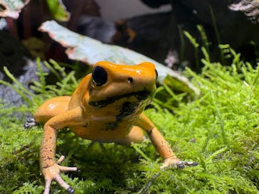 体感型カエル館KawaZooに投稿された画像（2025/7/28）