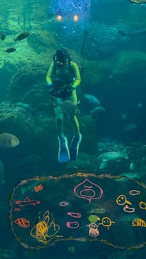 新江ノ島水族館に投稿された画像（2025/7/28）