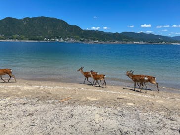 TEAM NARU（チームナルー）に投稿された画像（2025/7/28）