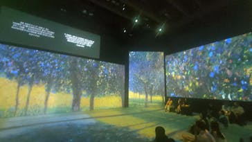 クリムト・アライブに投稿された画像（2025/7/28）