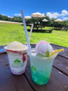 ひるがのピクニックガーデンに投稿された画像（2025/7/28）