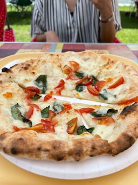 ひるがのピクニックガーデンに投稿された画像（2025/7/28）