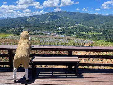 ひるがのピクニックガーデンに投稿された画像（2025/7/28）