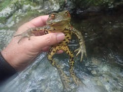 青空ファンに投稿された画像（2025/7/28）