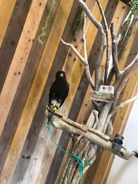 横浜・八景島シーパラダイスに投稿された画像（2025/7/28）
