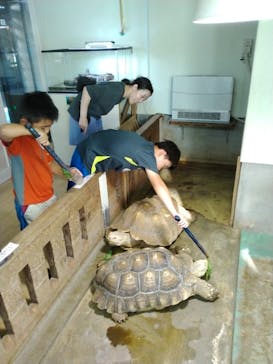 越前松島水族館に投稿された画像（2025/7/28）