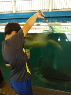 越前松島水族館に投稿された画像（2025/7/28）