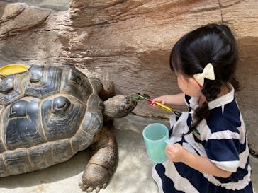 神戸どうぶつ王国×有馬街道温泉すずらんの湯に投稿された画像（2025/7/28）