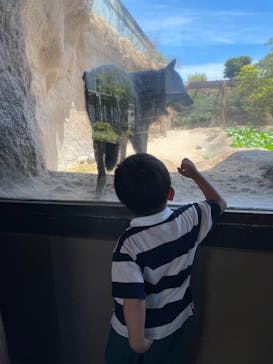 神戸どうぶつ王国×有馬街道温泉すずらんの湯に投稿された画像（2025/7/28）