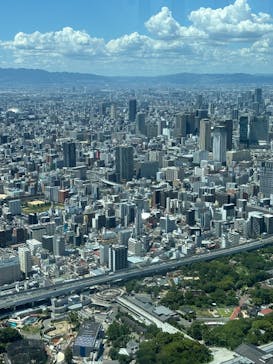 ハルカス300(展望台)に投稿された画像（2025/7/29）