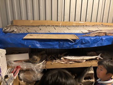 城崎マリンワールドに投稿された画像（2025/7/29）