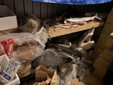 城崎マリンワールドに投稿された画像（2025/7/29）