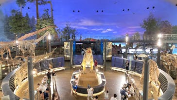 福井県立恐竜博物館に投稿された画像（2025/7/29）