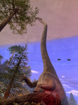 福井県立恐竜博物館に投稿された画像（2025/7/29）