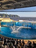 新江ノ島水族館に投稿された画像（2025/7/29）