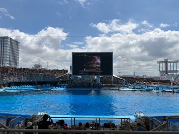 名古屋港水族館に投稿された画像（2025/7/29）