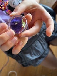 Aterier hana-ya（アトリエハナヤ）に投稿された画像（2025/7/29）