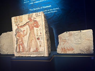 ACN ラムセス大王展 ファラオたちの黄金に投稿された画像（2025/7/29）