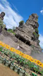 ひらかたパークに投稿された画像（2025/7/29）