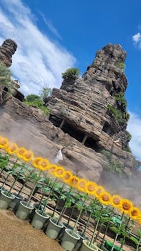 ひらかたパークに投稿された画像（2025/7/29）