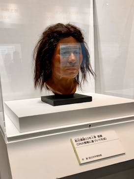 特別展「古代ＤＮＡ－日本人のきた道－」に投稿された画像（2025/7/29）
