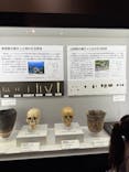 特別展「古代ＤＮＡ－日本人のきた道－」に投稿された画像（2025/7/29）