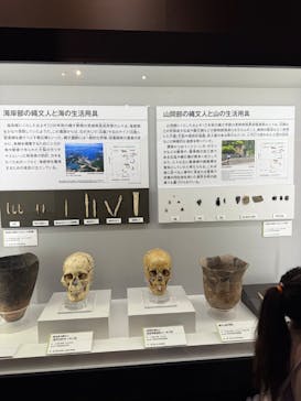 特別展「古代ＤＮＡ－日本人のきた道－」に投稿された画像（2025/7/29）
