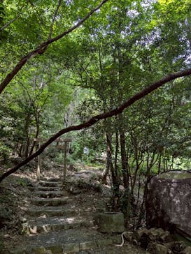 白瀧大明神奉賛会に投稿された画像（2025/7/29）