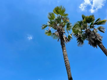 しらこばと水上公園（埼玉県公園緑地協会）に投稿された画像（2025/7/29）