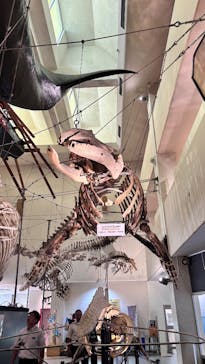 太地町立くじらの博物館に投稿された画像（2025/7/29）