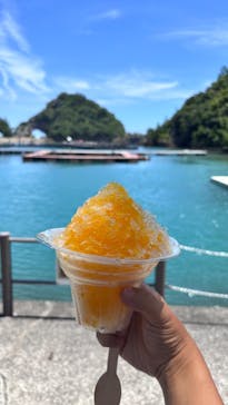 太地町立くじらの博物館に投稿された画像（2025/7/29）