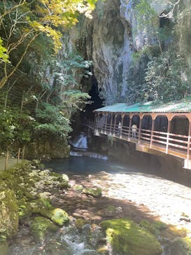 秋芳洞に投稿された画像（2025/7/29）