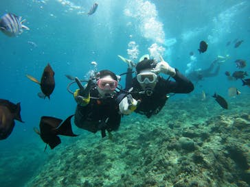 武藤潜水に投稿された画像（2025/7/29）