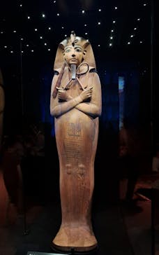 ACN ラムセス大王展 ファラオたちの黄金に投稿された画像（2025/7/29）