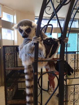 アニタッチみなとみらいに投稿された画像（2025/7/29）