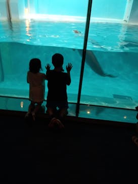 マリンワールド海の中道に投稿された画像（2025/7/29）