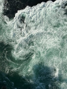 徳島県立 渦の道に投稿された画像（2025/7/29）