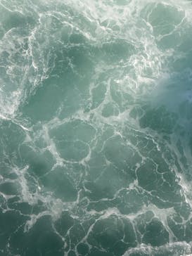 徳島県立 渦の道に投稿された画像（2025/7/29）