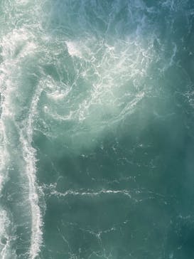 徳島県立 渦の道に投稿された画像（2025/7/29）